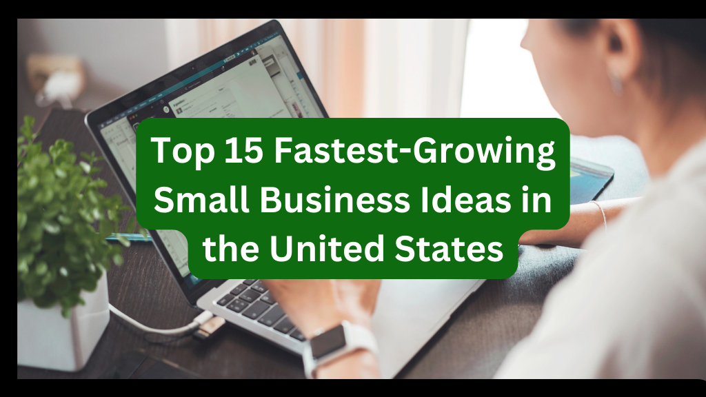 Top 15 Fastest-Growing Small Business Ideas in the United States